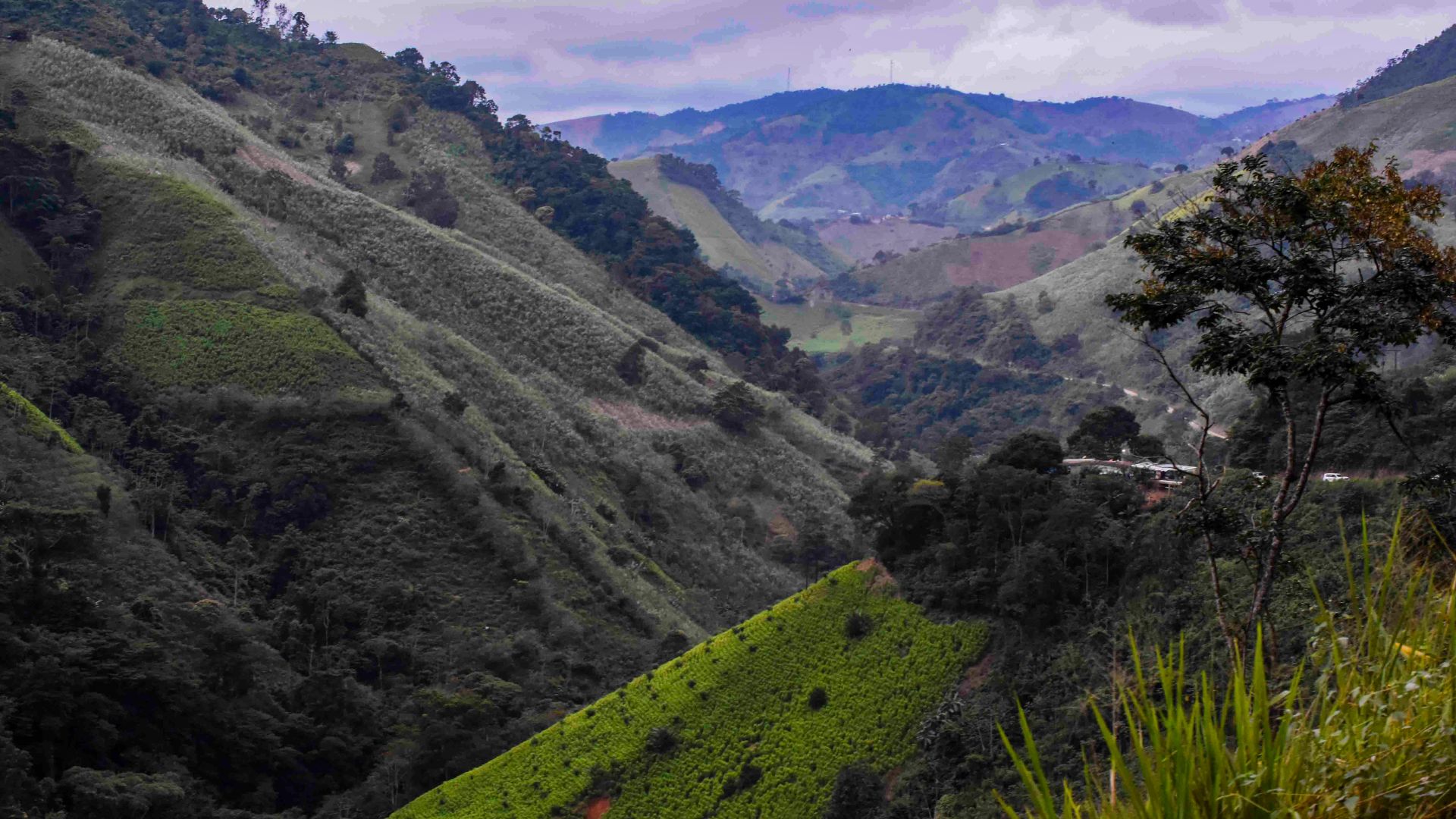 Colombian mothers flee drone attacks in Catatumbo border region.