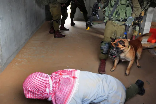 Hundreds of detained activists deported from Israel following aid flotilla interception.