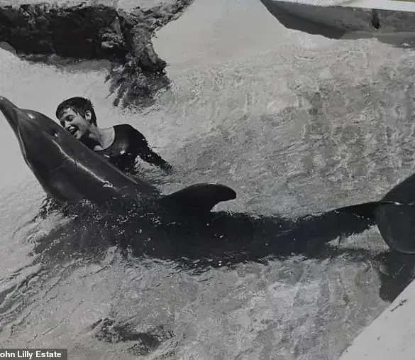 A Love That Transcended Species: Margaret Howe Lovatt's Unique Bond with Dolphins