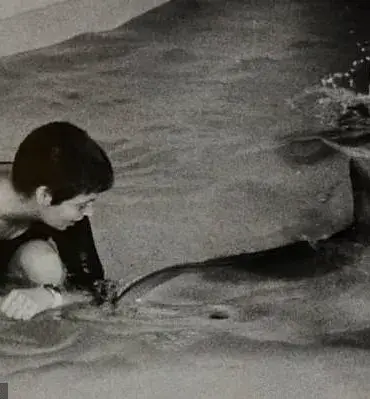 A Woman's Unique Bond with Dolphins