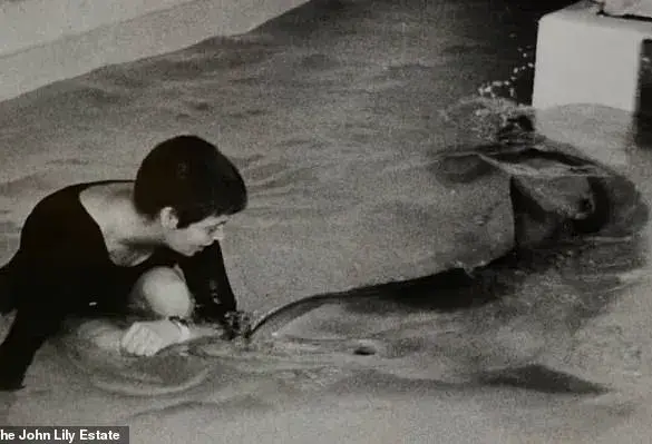 A Woman's Unique Bond with Dolphins
