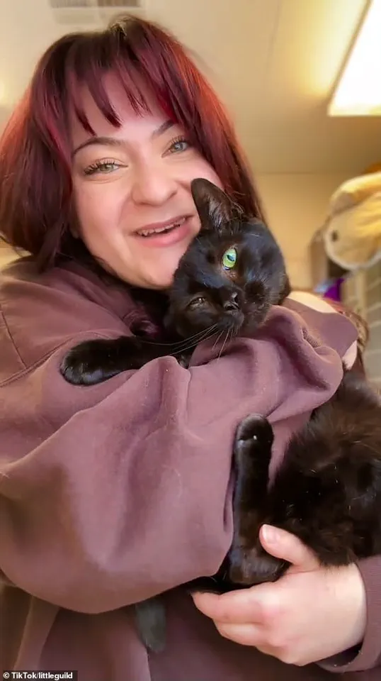 Adorable Black Cat Surrenders Due to 'Too Affectionate' Nature