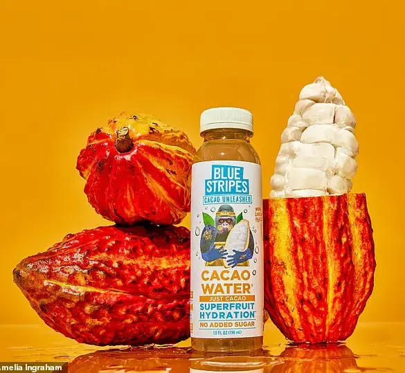 Cacao Water: A Healthy Alternative to Sugary Drinks