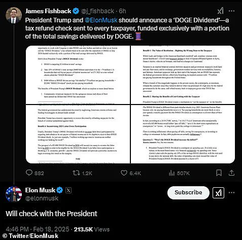Donald Trump Considers Elon Musk's 'DOGE Dividend' Proposal