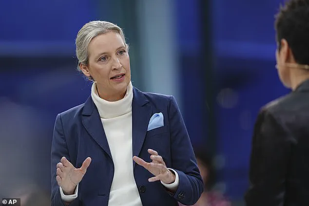 FEMEN Protest at German Embassy in Kyiv: 'Heil Weidel' Message to AfD