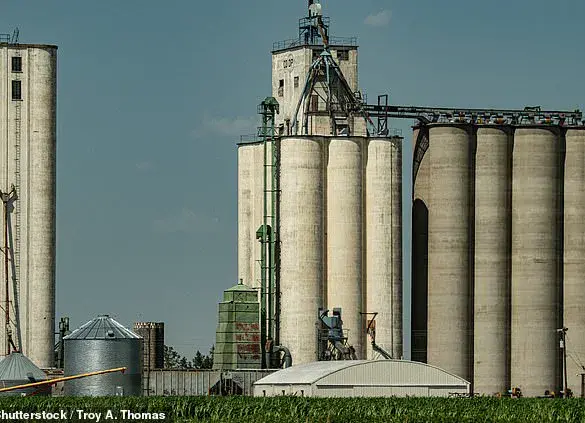 Financial Challenges Faced by US Farmers