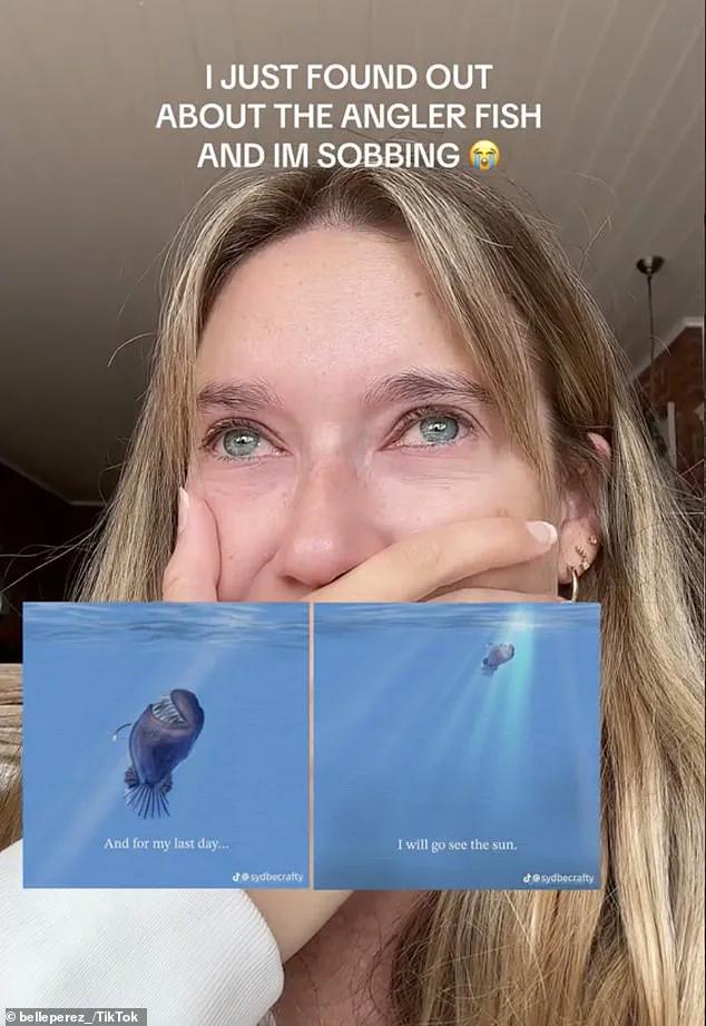 Gen Z's Reaction to the Rare Anglerfish in Tenerife