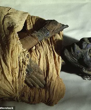 Groundbreaking Discovery: Tomb of Pharoah Thutmose II Unveiled