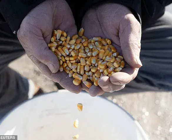 Robert F. Kennedy Jr.'s Battle Against Big Farming and HFCS
