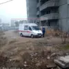The Perils of Pursuit: A Cautionary Tale