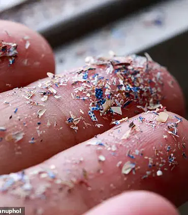 10 Foods High in Microplastics: Expert Reveals 'Easy Swaps' to Protect Your Health