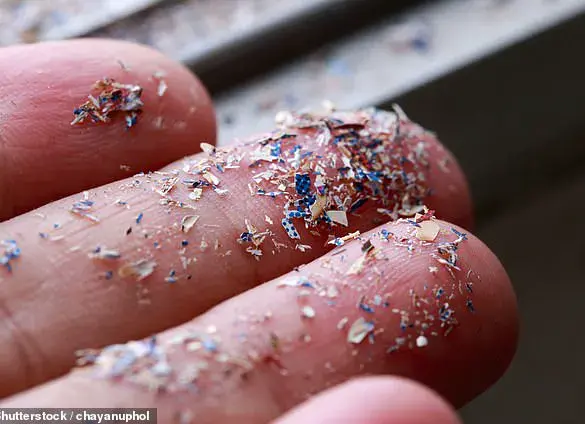 10 Foods High in Microplastics: Expert Reveals 'Easy Swaps' to Protect Your Health