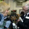 A New Furry Friend: Queen Welcomes a Playful Moley into Her Family