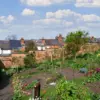 Adapting Gardens to a Changing Climate: Navigating Extreme Weather