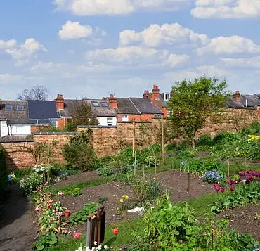Adapting Gardens to a Changing Climate: Navigating Extreme Weather