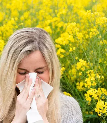 Apples and Onions May Help Alleviate Hay Fever Symptoms This Spring