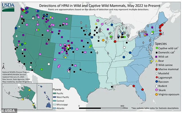 Bird Flu: A Public Health Concern and the Risk of Mutations