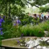Chelsea Flower Show Set to Unveil First Underwater Garden Focusing on Seagrass