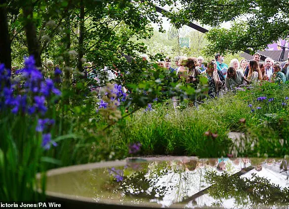 Chelsea Flower Show Set to Unveil First Underwater Garden Focusing on Seagrass