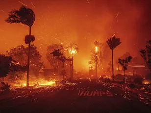 Climate Change Fuels Wildfire Risk: Study Warns