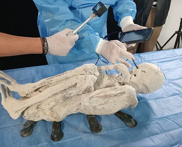 Debate Arises Over Origin of Intriguing Ancient Mummies
