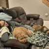 Dog's Unusual Behavior Leads to Early Cancer Detection in Owner