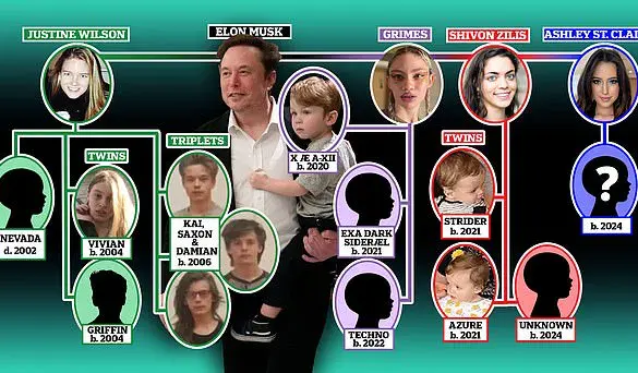 Elon Musk in Custody Battle over Son with Ashley St. Clair