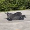 Exclusive Glimpse: Crocodile Dominance in the Everglades Ecosystem