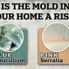 Exclusive Report: Rare Home Contaminant Behind Teen’s Mysterious Two-Year Illness