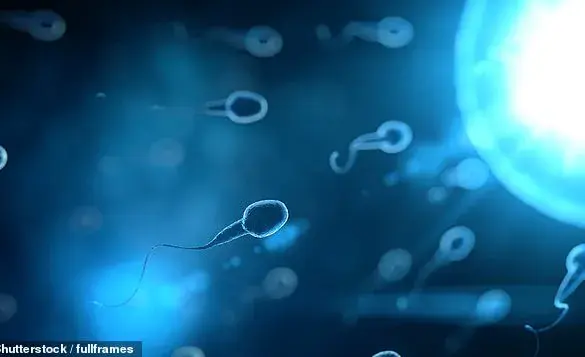 High-Quality Sperm Linked to Longer Lifespan in Men