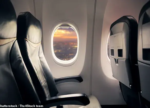 Miracle Survivor: 'Perfectly Healthy' Woman's Terrifying Mid-Flight Medical Emergency