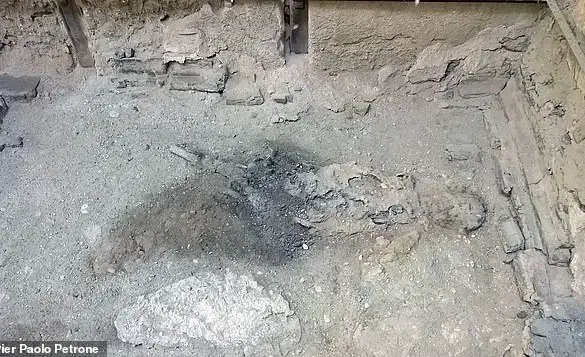 Modern Research Reveals New Insights Into Victims' Deaths From Mount Vesuvius Eruption