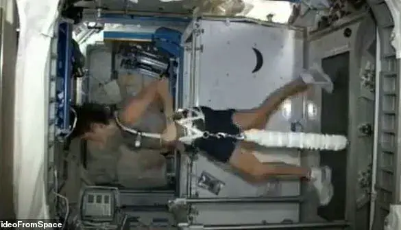 NASA Astronauts Face Critical Reintegration as They Return from Nine-Month Space Mission