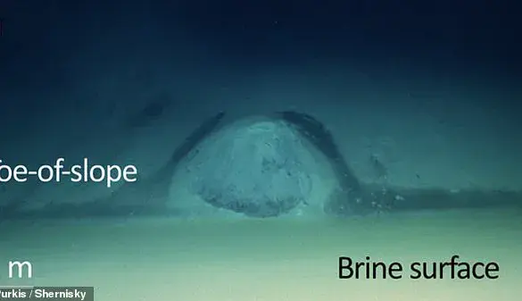 Natural Death Traps Found in Red Sea Brine Pools