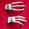 New discovery confirms Peruvian mummies are aliens