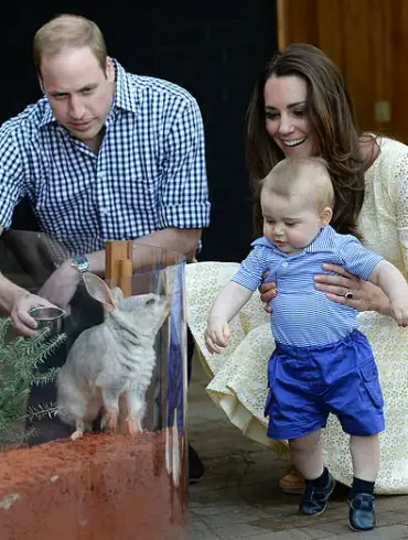 Princess Kate Reveals Plans to Take Children on Overseas Trips