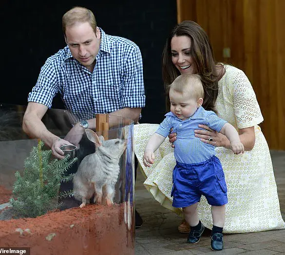 Princess Kate Reveals Plans to Take Children on Overseas Trips
