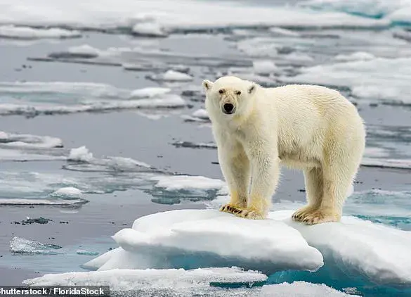 Rapid Rise in Ocean Warming: Urgent Call to Action
