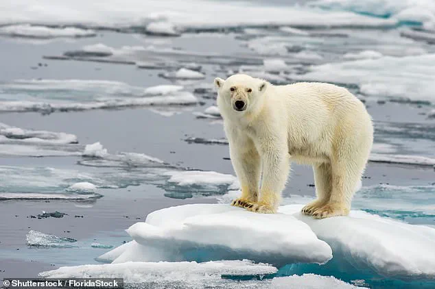 Rapid Rise in Ocean Warming: Urgent Call to Action