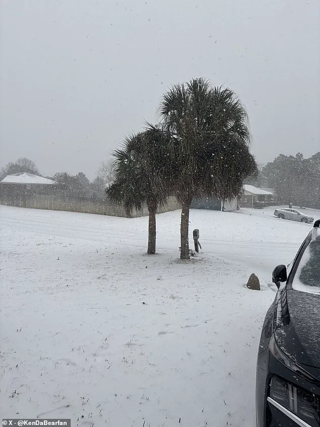 Rare Blizzard Warning as Winter Storm Strikes Southern US