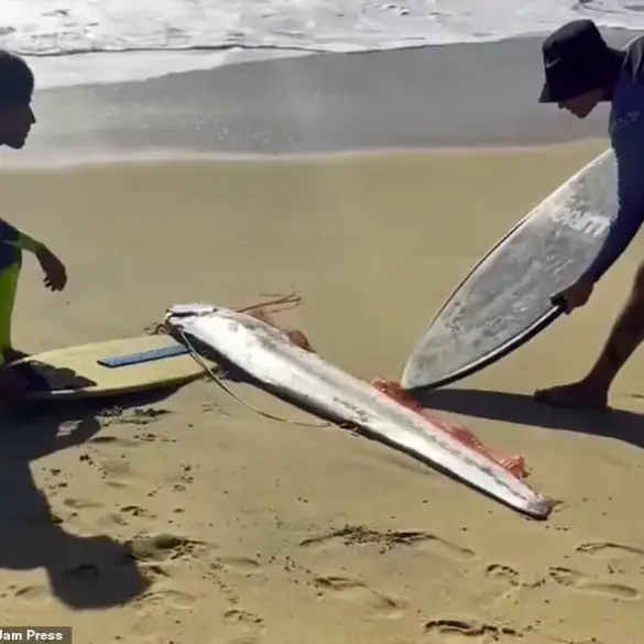 Rare 'Doomsday' Fish Washes Up on Beach in Mexico: A Sign of Pending Disaster?