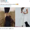 Royal Family Sparks Speculation with Unseen Puppy in Mother's Day Video