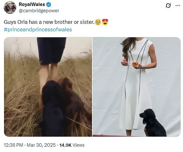 Royal Family Sparks Speculation with Unseen Puppy in Mother's Day Video