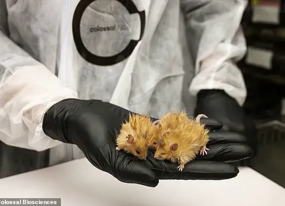 Science Brings Woolly Mice to Life: Unveiling a Step Towards Reviving the Woolly Mammoth