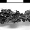 Study Reveals Vesuvius Eruption Turned Victims' Brains to Glass