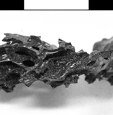 Study Reveals Vesuvius Eruption Turned Victims' Brains to Glass