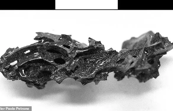 Study Reveals Vesuvius Eruption Turned Victims' Brains to Glass