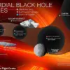 The Devastating Impact of Being Hit by a Microscopic Black Hole
