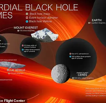 The Devastating Impact of Being Hit by a Microscopic Black Hole