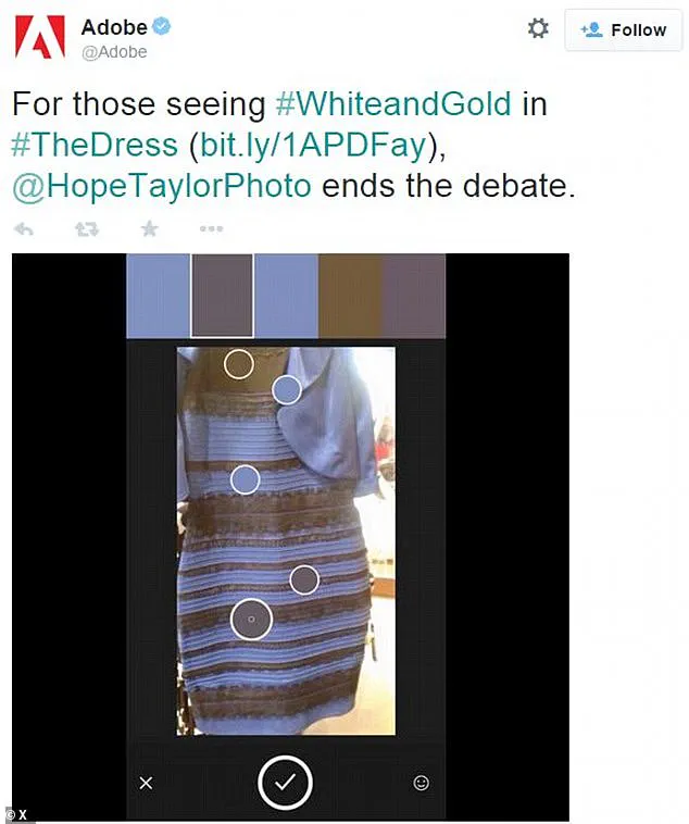 The Dress: A Viral Mystery Divides the Internet
